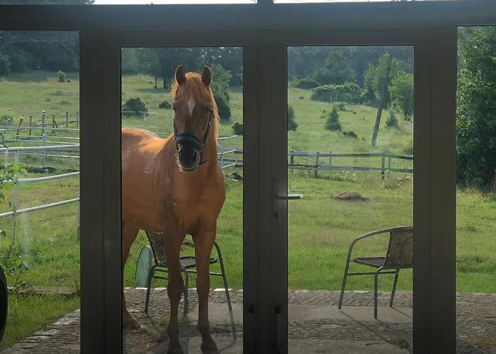 Karuna - Ajurweda I Joga - W Końskim Dworze Oborniki Śląskie